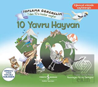 10 Yavru Hayvan