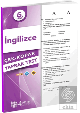 6. Sınıf İngilizce Çek Kopar Yaprak Test