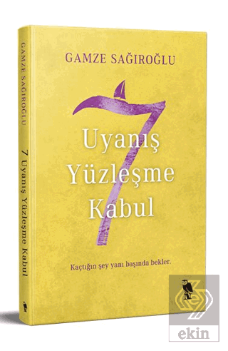 7 Uyanış Yüzleşme Kabul