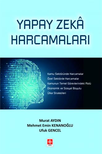 Yapay Zeka Harcamaları Murat Aydın