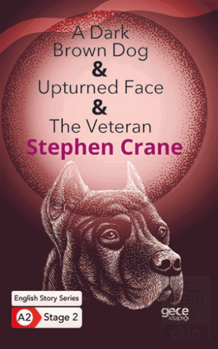 A Dark Brown Dog - Upturned Face - The Veteran - İ