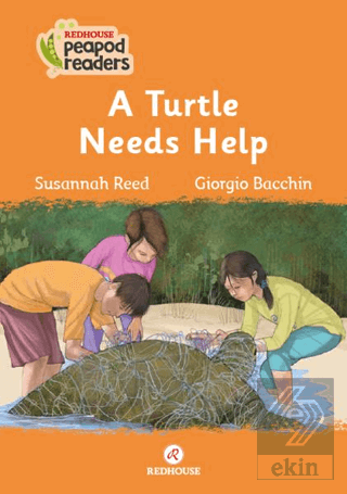 A Turtle Needs Help