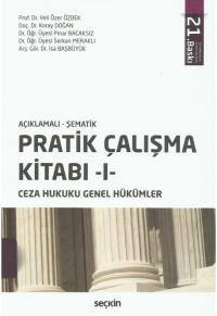 Açıklamalı - Şematik Pratik Çalışma Kitabı -I- Ce