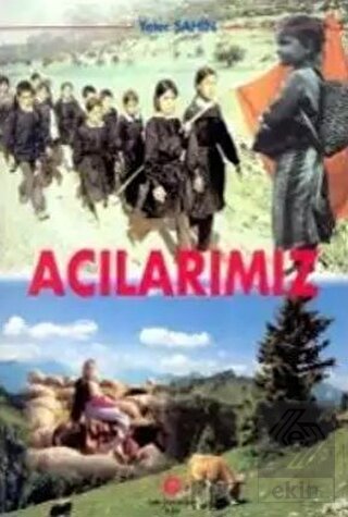 Acılarımız