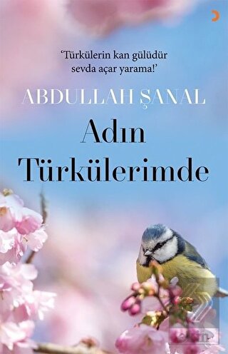 Adın Türkülerimde