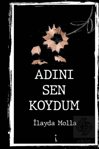 Adını Sen Koydum