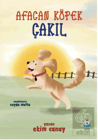 Afacan Köpek Çakıl