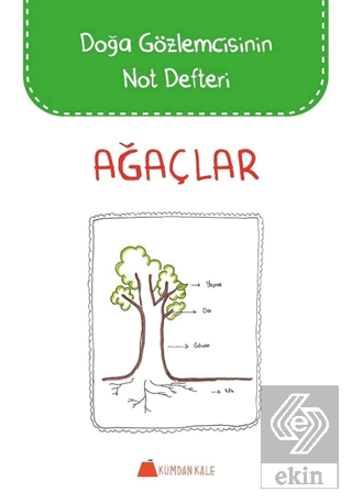 Ağaçlar - Doğa Gözlemcisinin Not Defteri