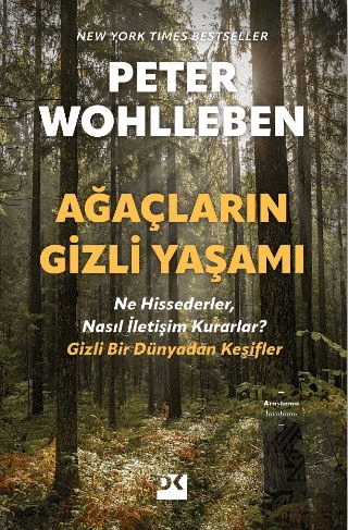 Ağaçların Gizli Yaşamı - Ne Hissederler, Nasıl İle