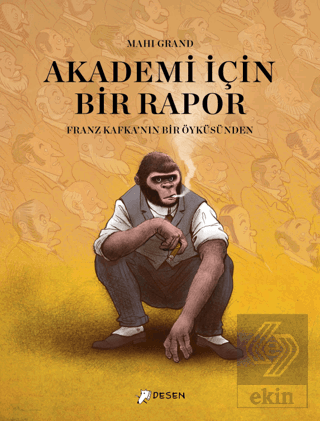 Akademi İçin Bir Rapor