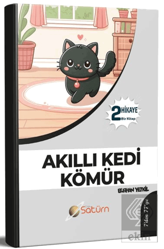 Akıllı Kedi Kömür