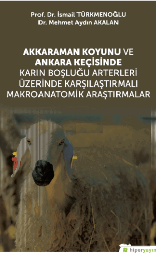 Akkaraman Koyunu ve Ankara Keçisinde Karın Boşluğu