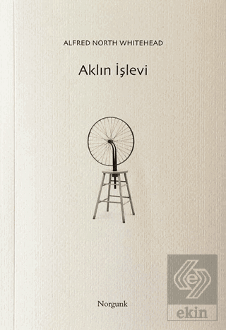 Aklın İşlevi