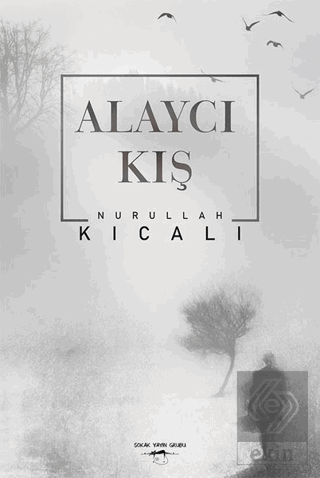 Alaycı Kış