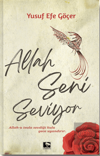 Allah Seni Seviyor