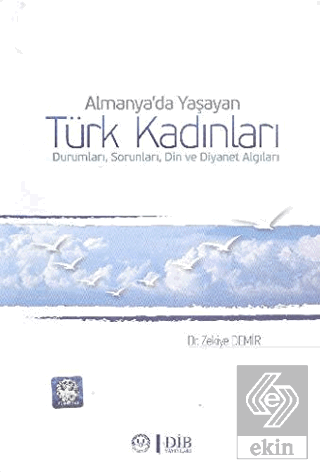 Almanya\'da Yaşayan Türk Kadınları Durumları, Sorun