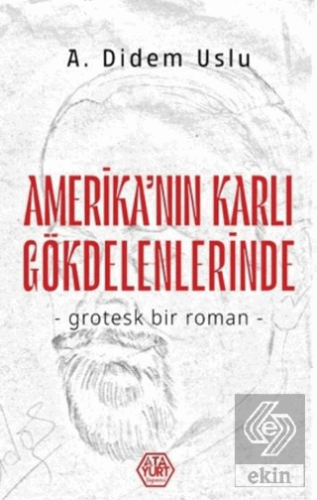 Amerika'nın Karlı Gökdelenlerinde