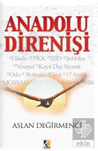 Anadolu Direnişi