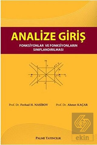 Analize Giriş