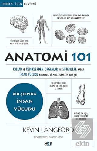 Anatomi 101