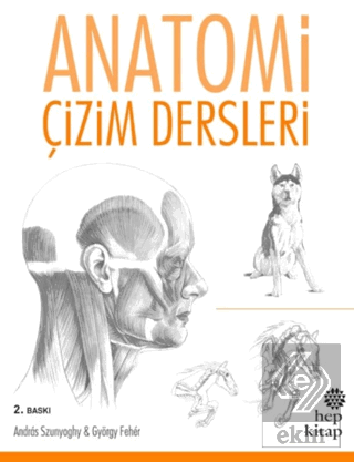 Anatomi Çizim Dersleri