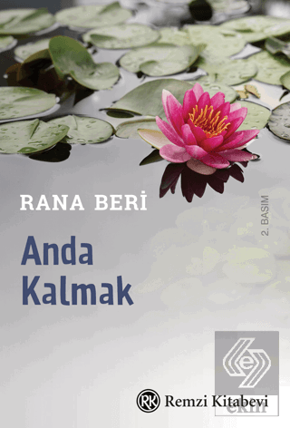 Anda Kalmak