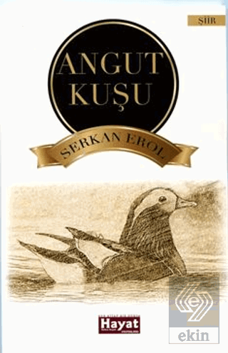 Angut Kuşu