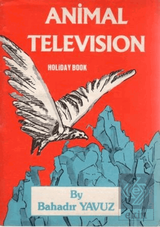 Animal Television - Holiday Book