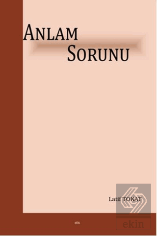 Anlam Sorunu