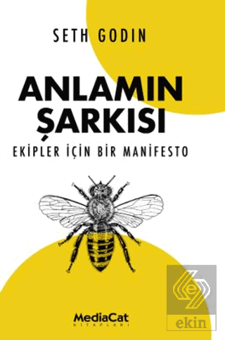 Anlamın Şarkısı