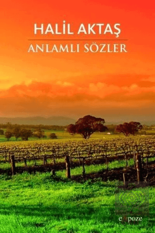 Anlamlı Sözler