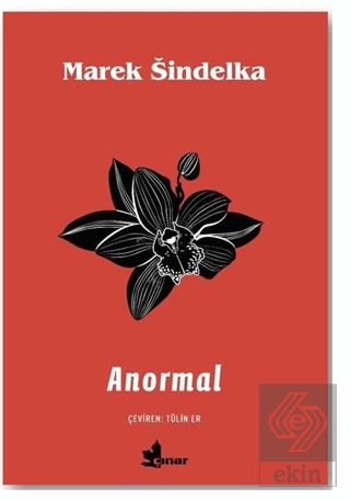 Anormal