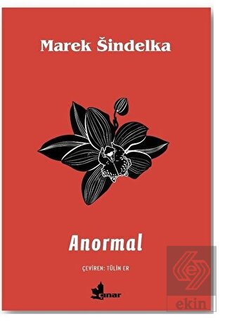 Anormal