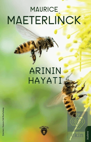 Arının Hayatı