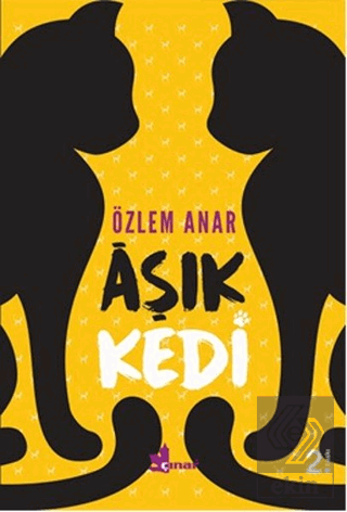 Aşık Kedi