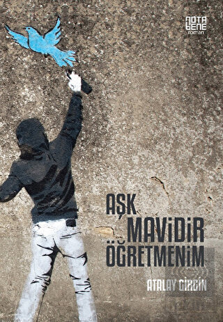 Aşk Mavidir Öğretmenim