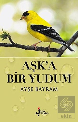 Aşk\'a Bir Yudum