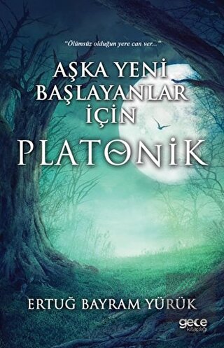 Aşka Yeni Başlayanlar İçin Platonik