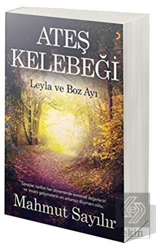 Ateş Kelebeği