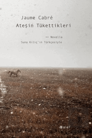 Ateşin Tükettikleri