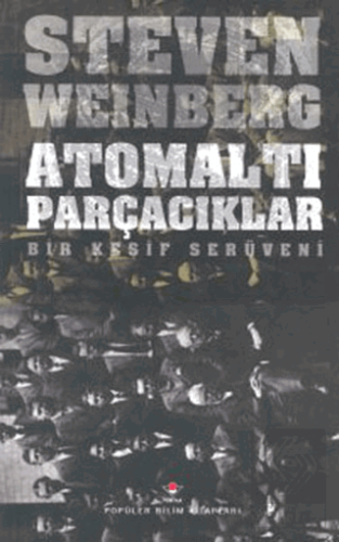 Atomaltı Parçacıklar