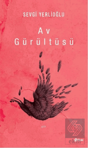 Av Gürültüsü