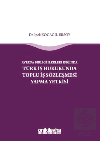 Avrupa Birliği İlkeleri Işığında Türk İş Hukukunda