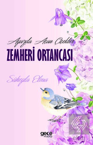 Ayazda Açan Çiçekler Zemheri Ortancası