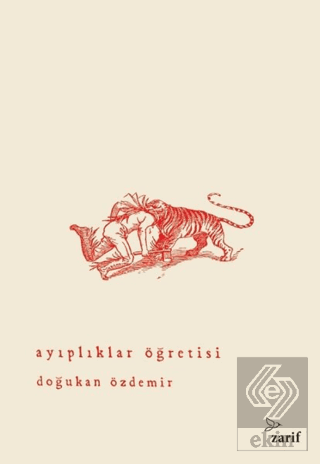 Ayıplıklar Öğretisi