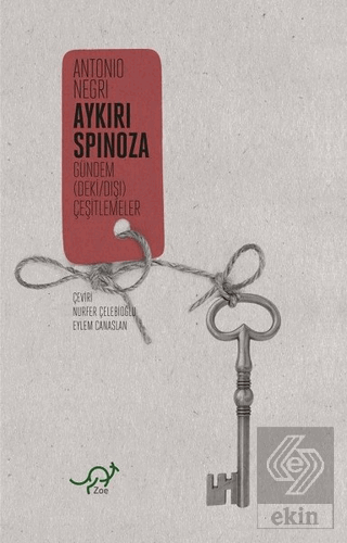 Aykırı Spinoza