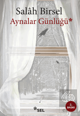 Aynalar Günlüğü