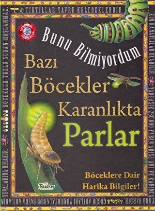 Bazı Böcekler Karanlıkta Parlar - Bunu Bilmiyordum