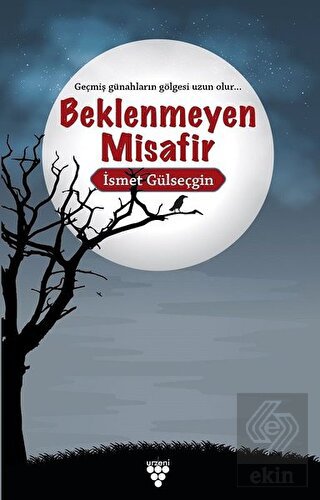 Beklenmeyen Misafir