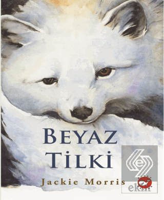 Beyaz Tilki